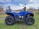 Квадроцикл FORTE ATV 300BS 3004421 фото 5