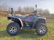 Квадроцикл Linhai Z250 EFI  17994 фото 17