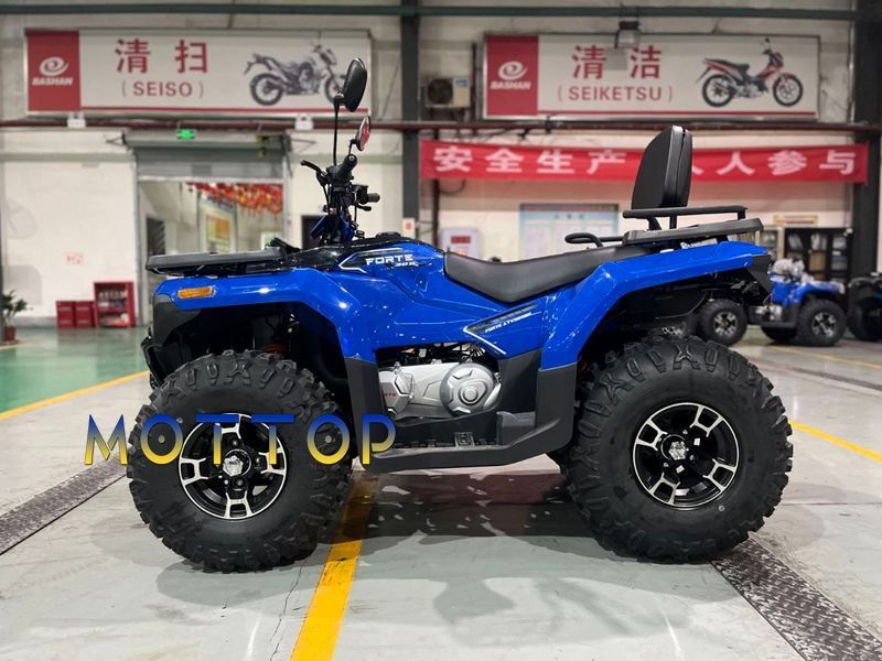 Квадроцикл Forte ATV-300BS 2WD 2025  3002563 фото