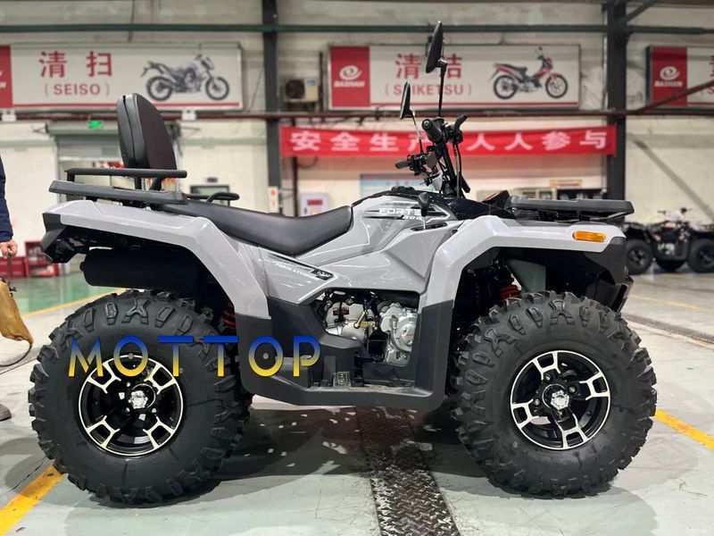 Квадроцикл Forte ATV-300BS 2WD 2025  3002563 фото