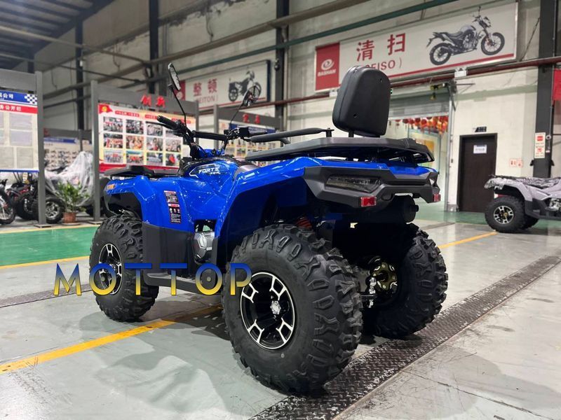 Квадроцикл Forte ATV-300BS 2WD 2025  3002563 фото