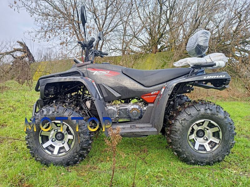 Квадроцикл Linhai Z250 EFI  17994 фото