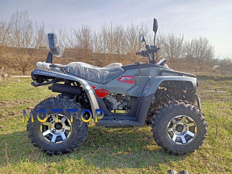 Квадроцикл Linhai Z250 EFI  17994 фото