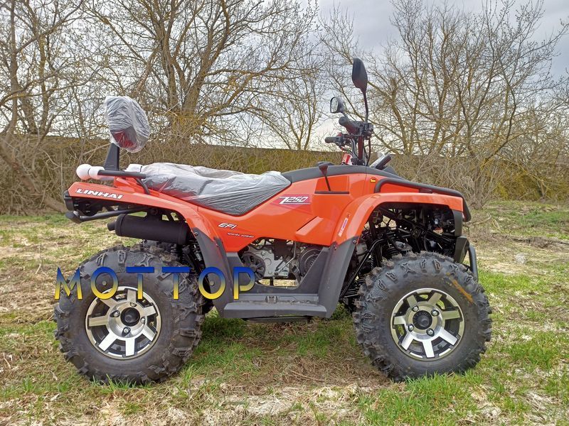 Квадроцикл Linhai Z250 EFI  17994 фото