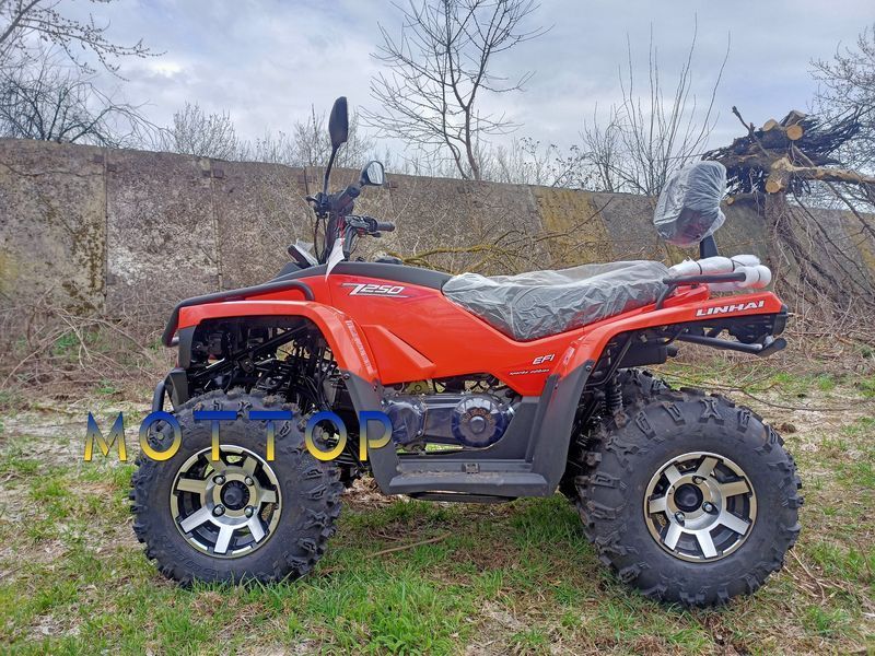 Квадроцикл Linhai Z250 EFI  17994 фото
