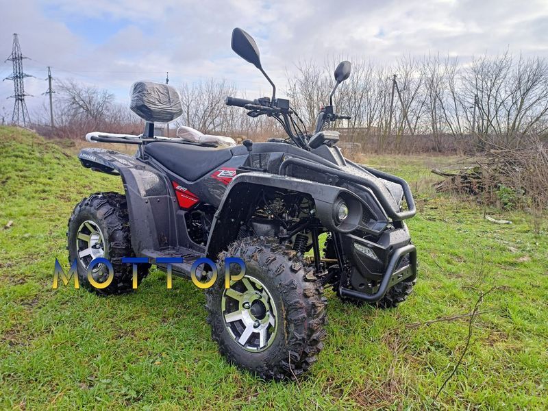 Квадроцикл Linhai Z250 EFI  17994 фото
