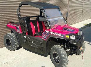 Баггі RZR ML 300 UTV 101125 фото
