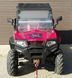 Багги RZR ML 300 UTV 101125 фото 6