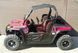 Багги RZR ML 300 UTV 101125 фото 5