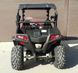 Багги RZR ML 300 UTV 101125 фото 2