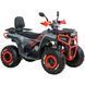 Квадроцикл SPARK SP 200-5 20051330 фото 1