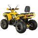 Квадроцикл SPARK SP200-5E 20054512 фото 5