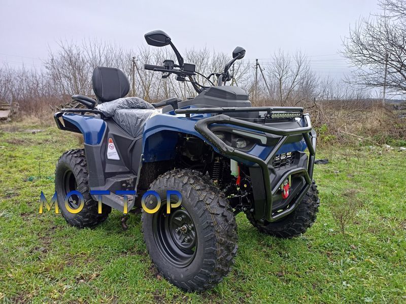 Квадроцикл Mikilon Hammer Touring 300 U78 4x2 3004225 фото