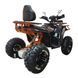 Квадроцикл з електродвигуном Spark Legion 3000w 3000456223 фото 2