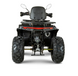 Квадроцикл FORTE AFC-200 PRO 2006657 фото 4