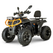 Квадроцикл FORTE AFC-200 PRO 2006657 фото 1