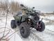 Квадроцикл Dozer 10 PRO 200 + лебідка 2008545 фото 4