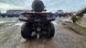Квадроцикл Електро SokMoto RAPTOR EV 15000 Ватт 1550023 фото 10