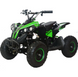 Электро Квадроцикл аккумуляторный FORTE ATV1000QB 100025 фото 2