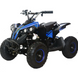 Электро Квадроцикл аккумуляторный FORTE ATV1000QB 100025 фото 1
