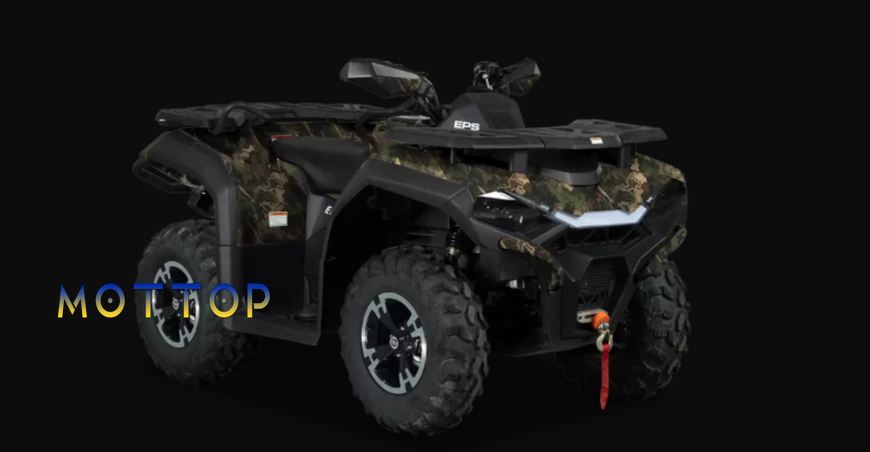 Квадроцикл HISUN GUARDIAN 550  2025 550046 фото