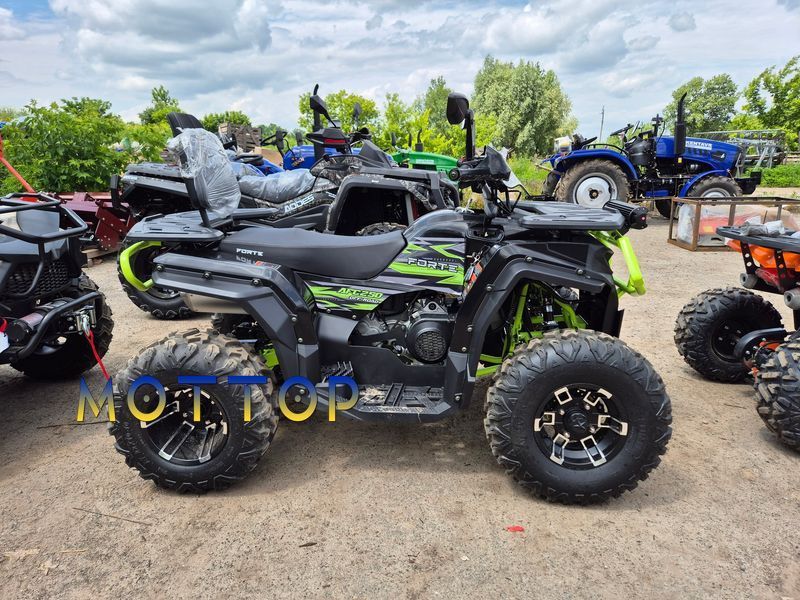 Квадроцикл Forte AFC-250 PROMAX 2503645 фото