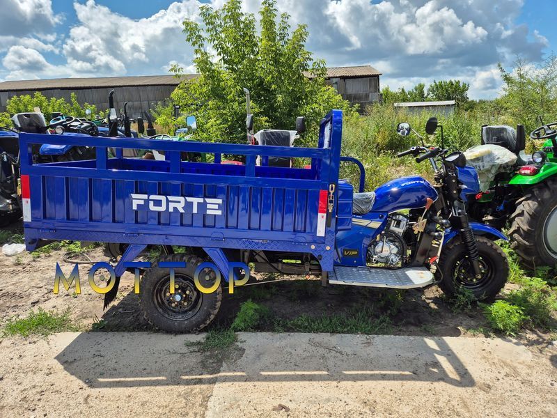 Мотоцикл грузовой ATV250ZH-T Forte 250321 фото