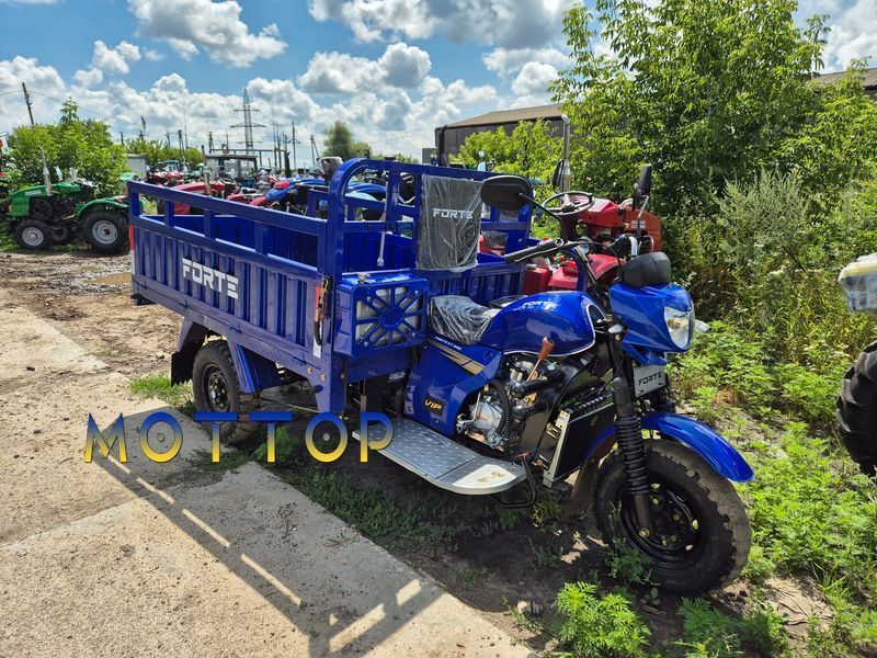 Мотоцикл грузовой ATV250ZH-T Forte 250321 фото