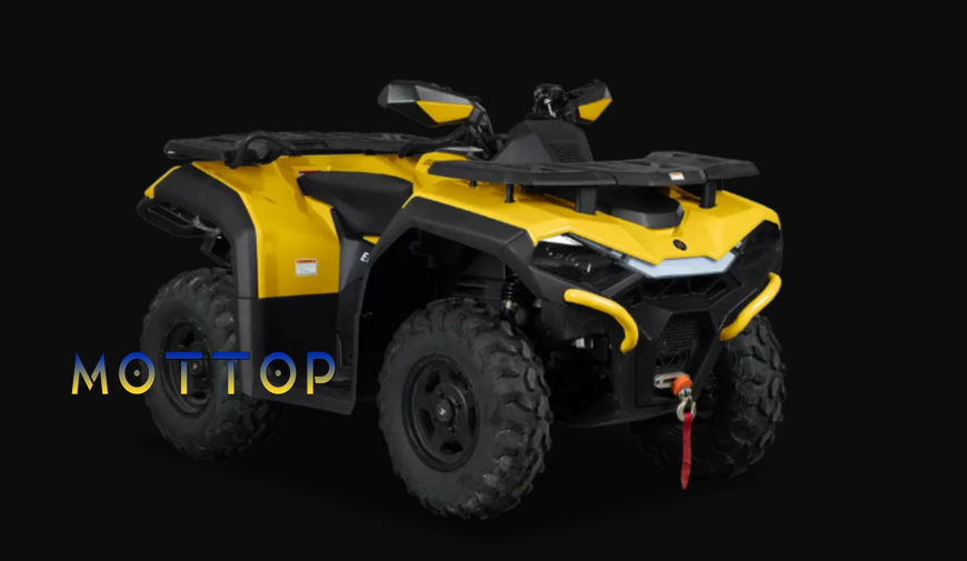 Квадроцикл HISUN GUARDIAN 400 400536 фото