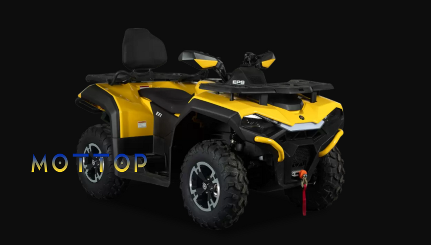 Квадроцикл HISUN GUARDIAN 400L 4052562 фото