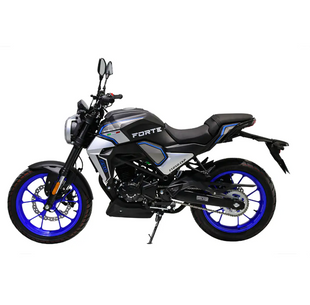 Мотоцикл FT 250CKP Forte 250465 фото