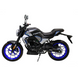 Мотоцикл FT 250CKP Forte 250465 фото 1