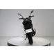 Мотоцикл FT 250CKP Forte 250465 фото 6