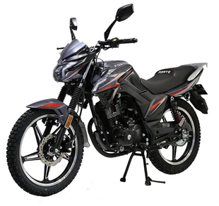 Мотоцикл FT 200EN Forte 2004862 фото