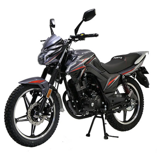 Мотоцикл FT250EN Forte 25012457 фото
