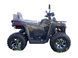Квадроцикл COMMAN Ranger 250 2501563 фото 11