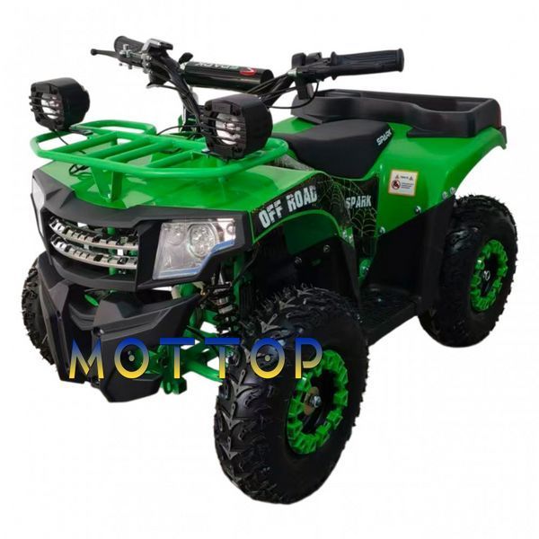 Квадроцикл с электродвигателем Spark Junior 1000w 100016634 фото