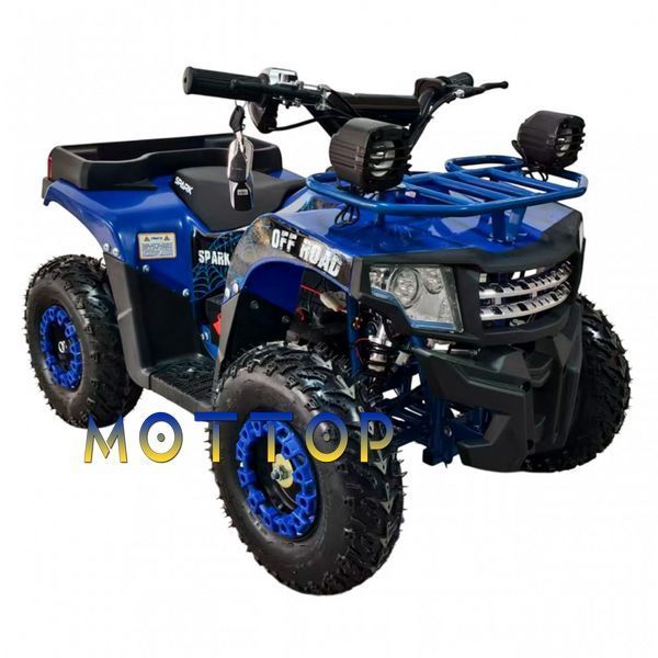 Квадроцикл с электродвигателем Spark Junior 1000w 100016634 фото