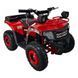 Квадроцикл с электродвигателем Spark Junior 1000w 100016634 фото 3